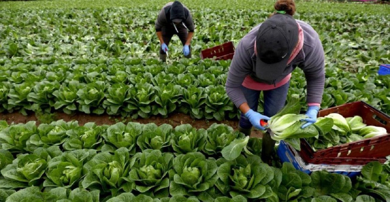 Уряд домовлятиметься з країнами Європи про поїздки українських заробітчан: деталі Уряд домовлятиметься з країнами Європи про поїздки українських заробітчан: деталі