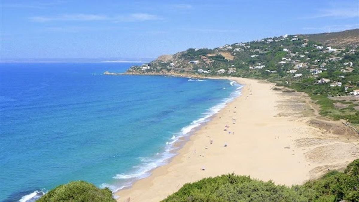 В Испании пляж помыли хлоркой из-за коронавируса: погибли животные – видео
