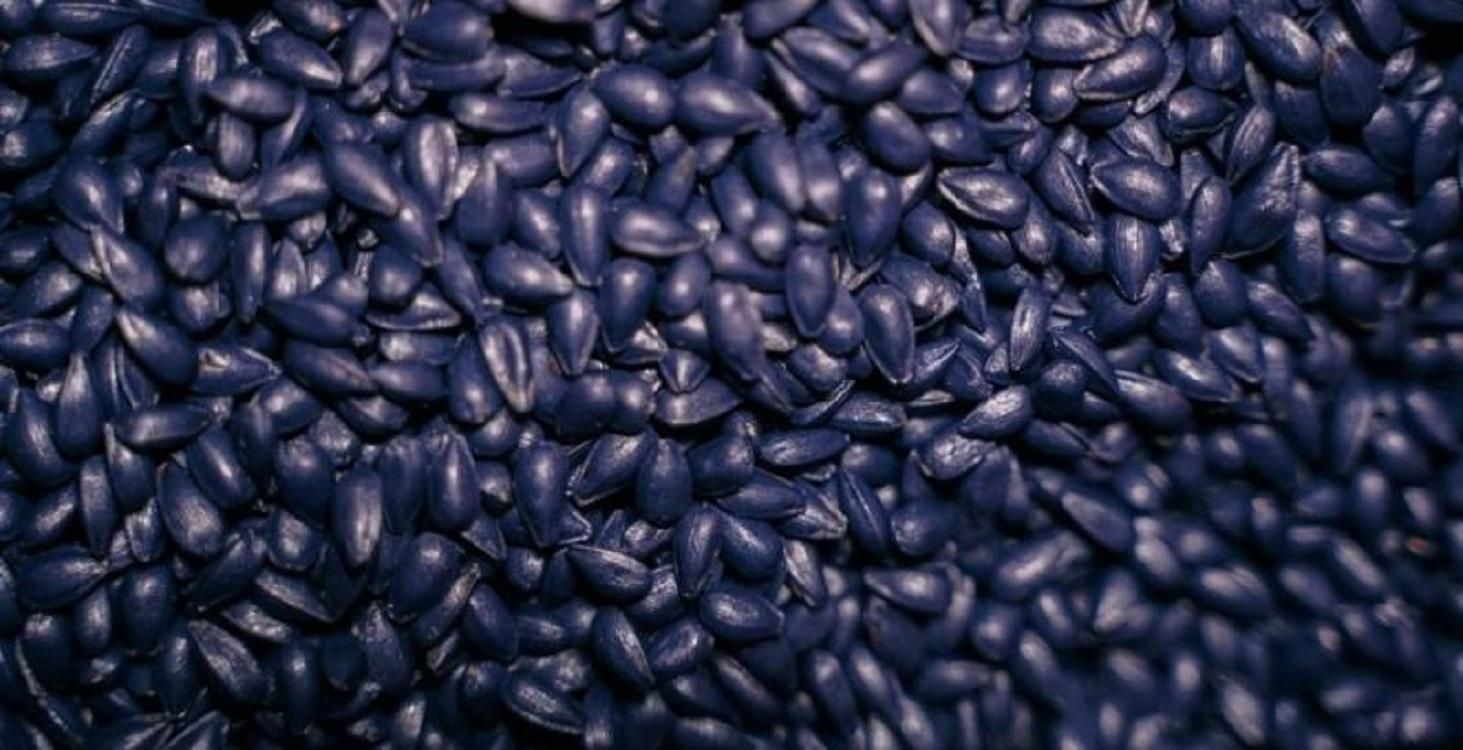 Сертификация семян: Украина присоединилась к международной схеме Сертификация семян: Украина присоединилась к международной схеме