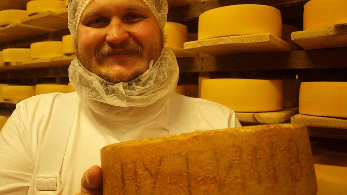 "Путин заплесневел": в сети высмеяли создание сыра с фамилией президента РФ "Путин заплесневел": в сети высмеяли создание сыра с фамилией президента РФ