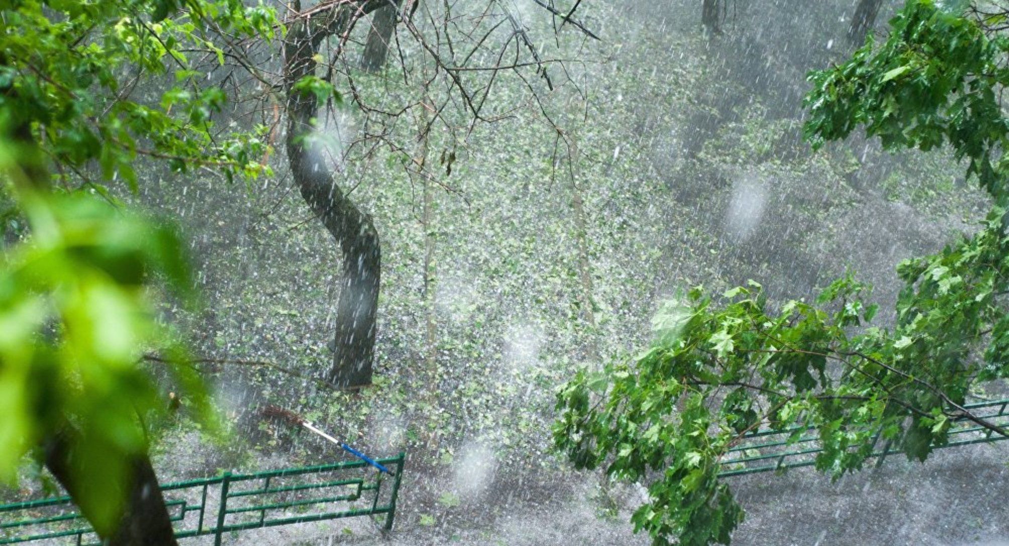 Негода лютує: Київ, Житомирщину і Вінниччину засипало градом – фото, відео Негода лютує: Київ, Житомирщину і Вінниччину засипало градом – фото, відео