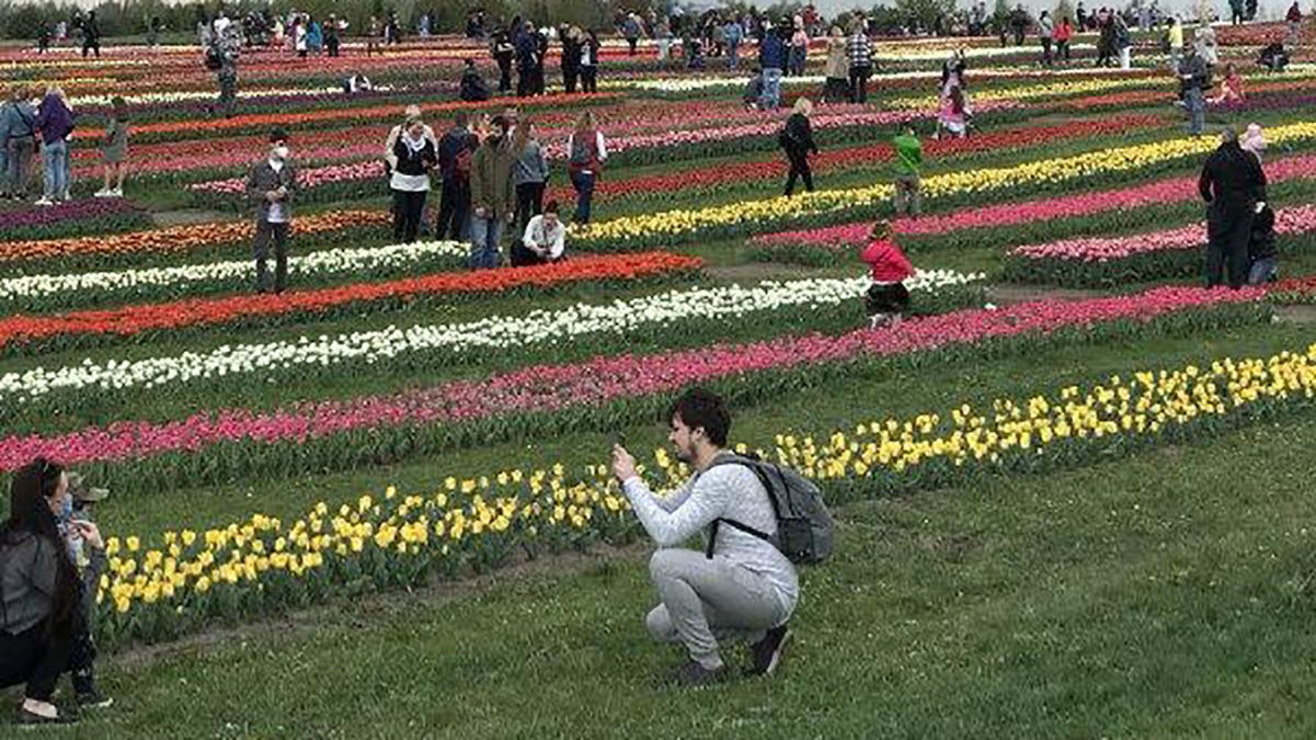 Как украинцы массово нарушают карантин: ошеломляющие видео и фото Как украинцы массово нарушают карантин: ошеломляющие видео и фото