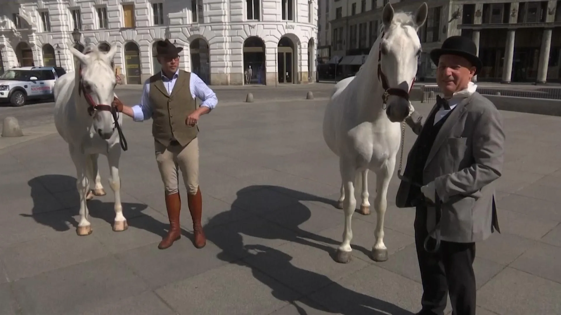 Австрія візники карантин Австрія візники карантин