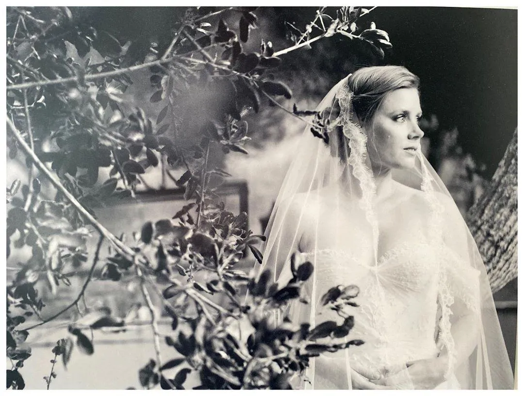 Емі Адамс та Даррен Ле Галло на весіллі Емі Адамс та Даррен Ле Галло на весіллі