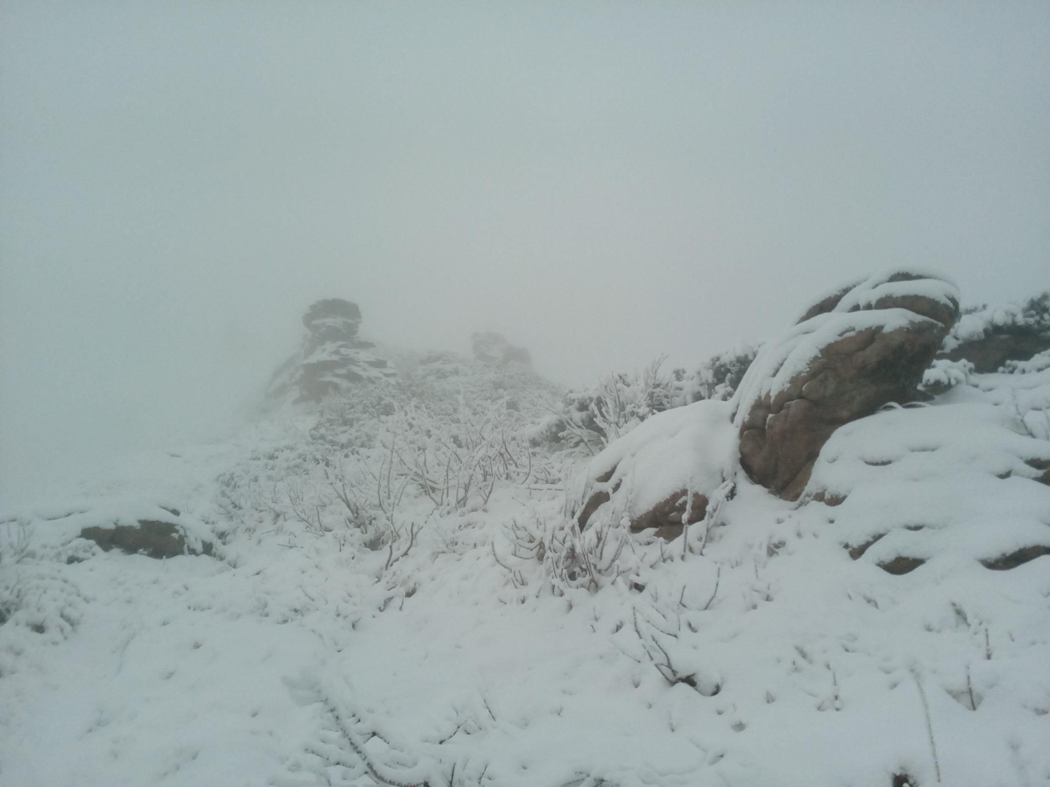 Сніг в Карпатах 4 травня 2020 – відео снігу в Україні Сніг в Карпатах 4 травня 2020 – відео снігу в Україні