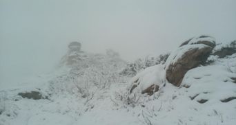 Зима у травні: в Карпатах випав сніг і лютують хуртовини – відео