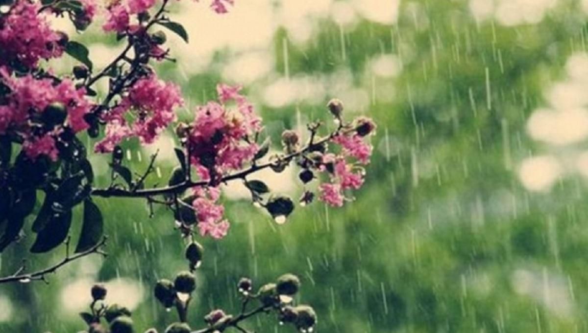 Погода 5 травня 2020, Україна – яку погоду обіцяє синоптик Погода 5 травня 2020, Україна – яку погоду обіцяє синоптик