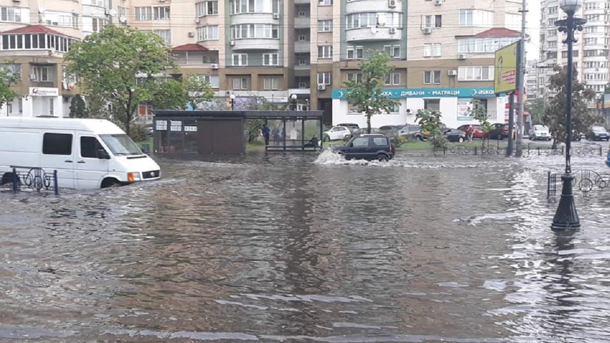 Потоп в Киеве, фламинго на Николаевщине, спецназ против тигра: фото 4 мая