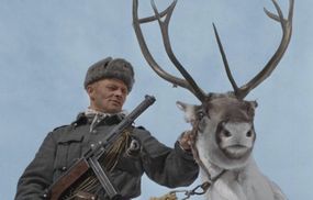 Не знайшли історика, знайшли оленя: до 9 травня у Росії повісили плакат із фінським солдатом