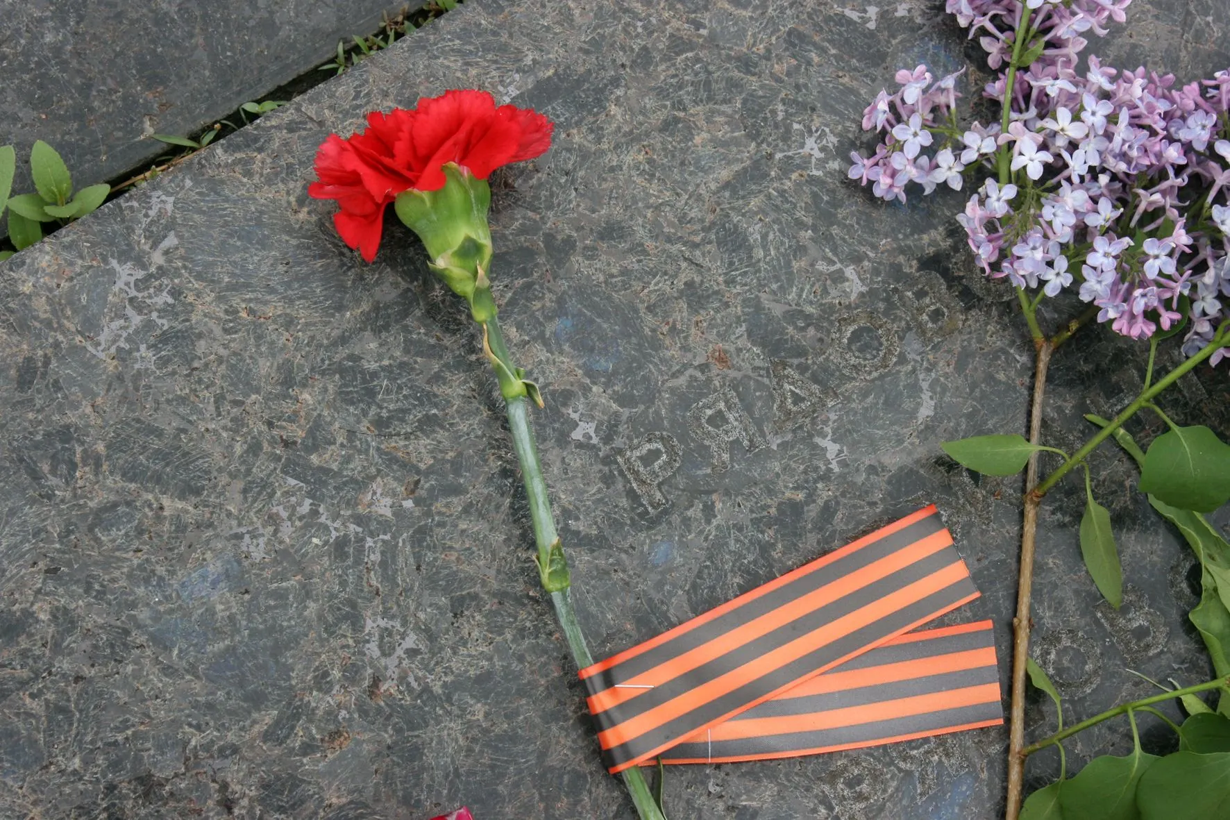 Георгіївська стрічка Георгіївська стрічка