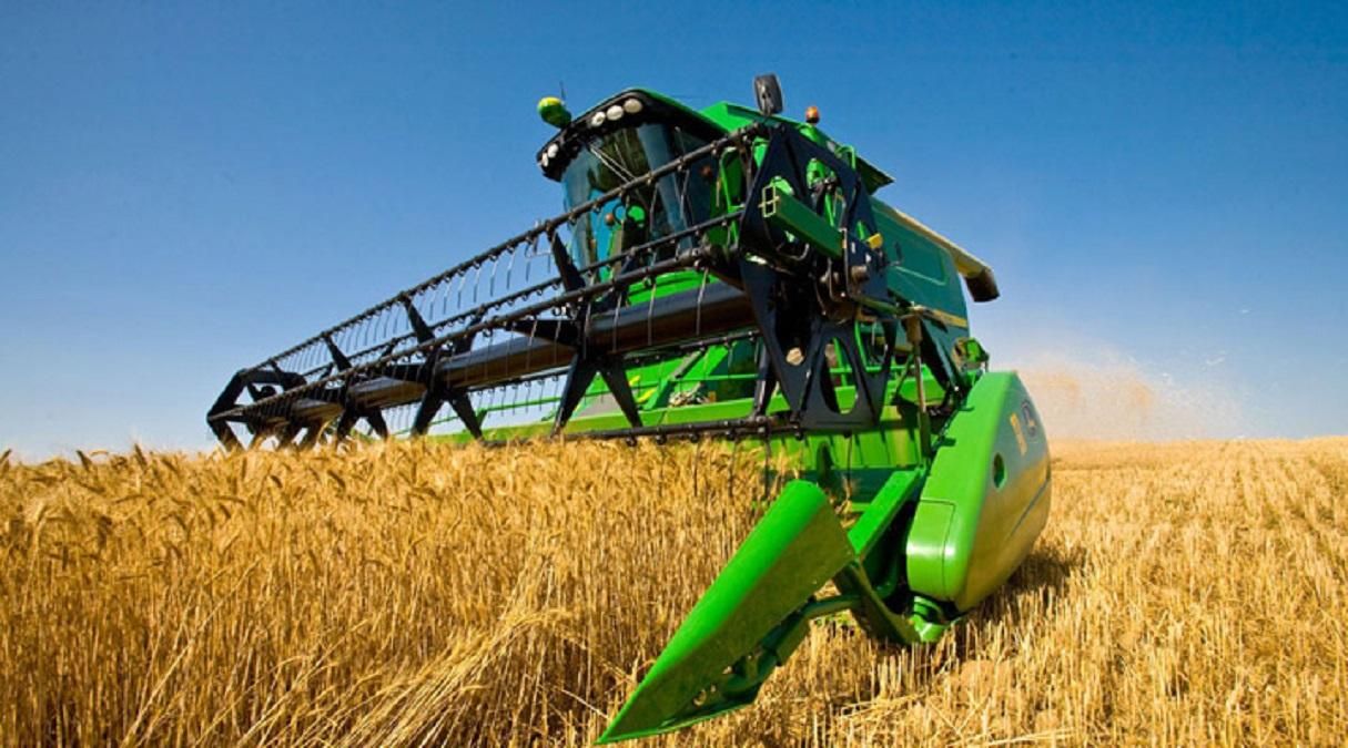 Уряд відзвітував про запаси пшениці в Україні
