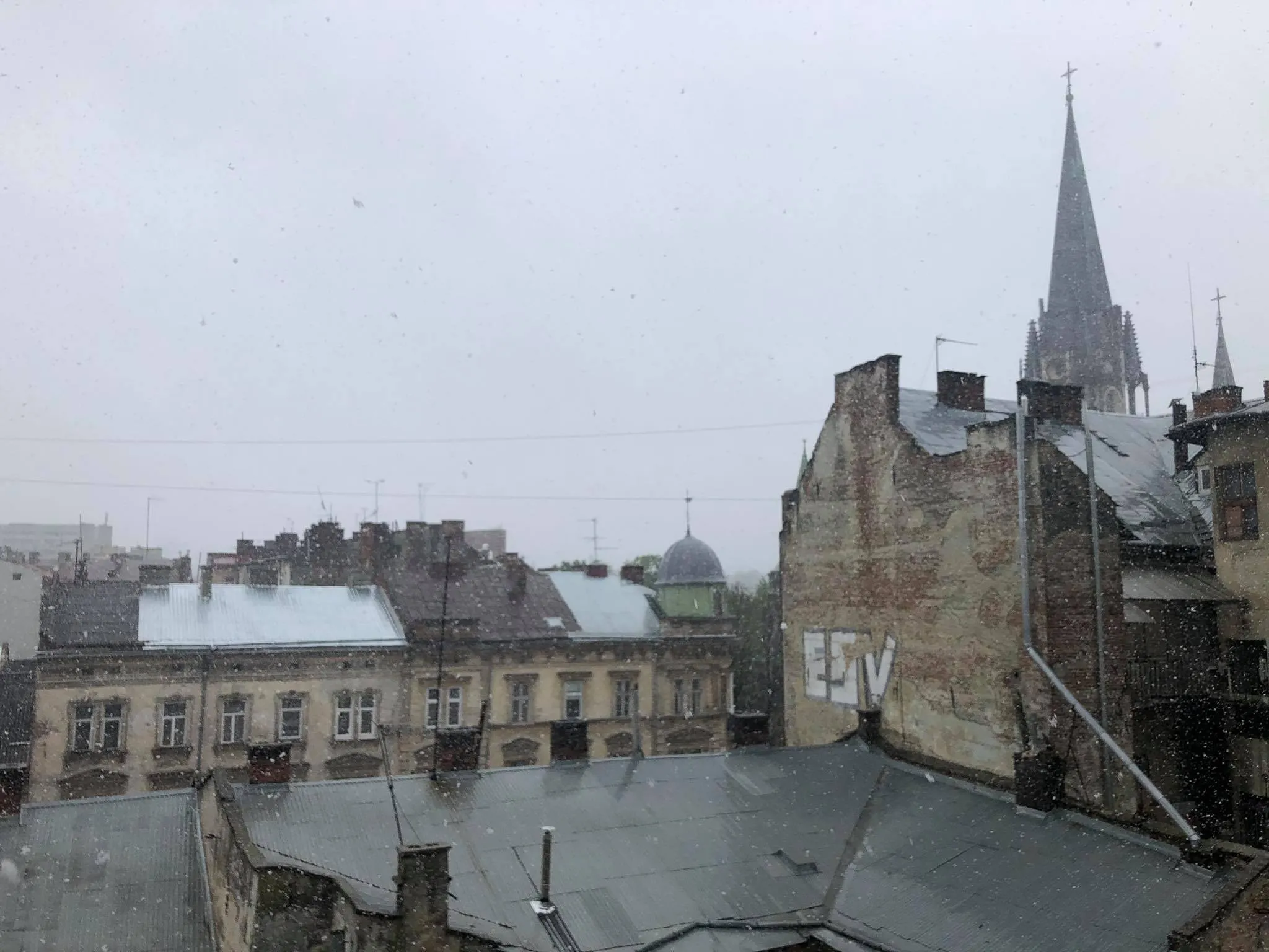 сніг у Львові в травні сніг у Львові в травні