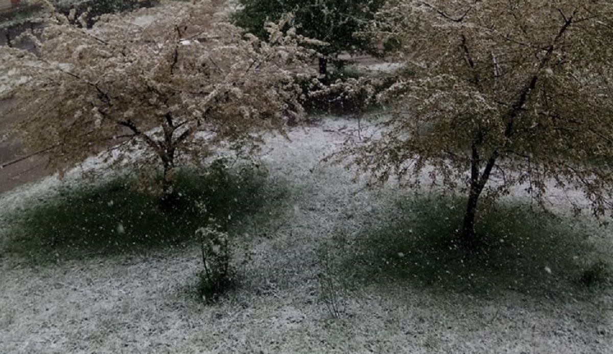 Снег с дождем во Львовской области 6 мая 2020 - видео, фото Снег с дождем во Львовской области 6 мая 2020 - видео, фото