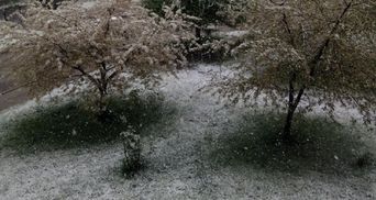 На Западе Украины выпал снег с дождем: фото и видео