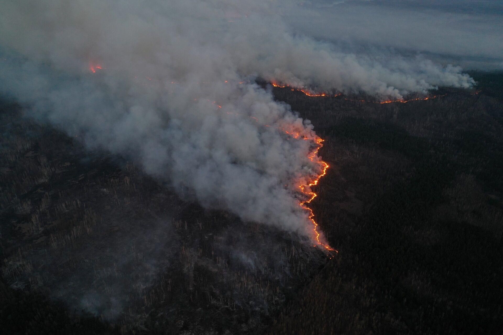 В расследовании пожаров в Чернобыле помогут спутниковые снимки В расследовании пожаров в Чернобыле помогут спутниковые снимки