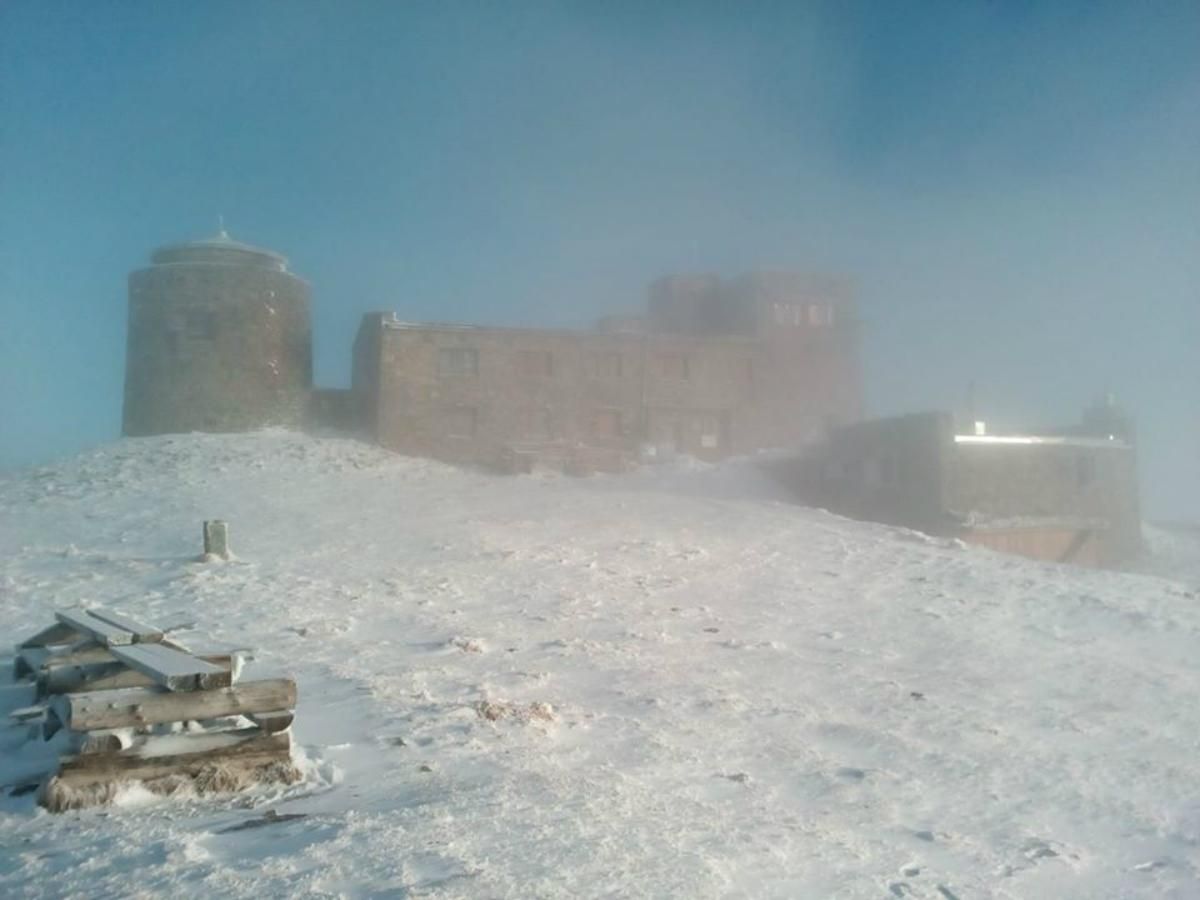 Карпати посеред травня замело, снігом вкриті квітучі дерева: фото та відео Карпати посеред травня замело, снігом вкриті квітучі дерева: фото та відео