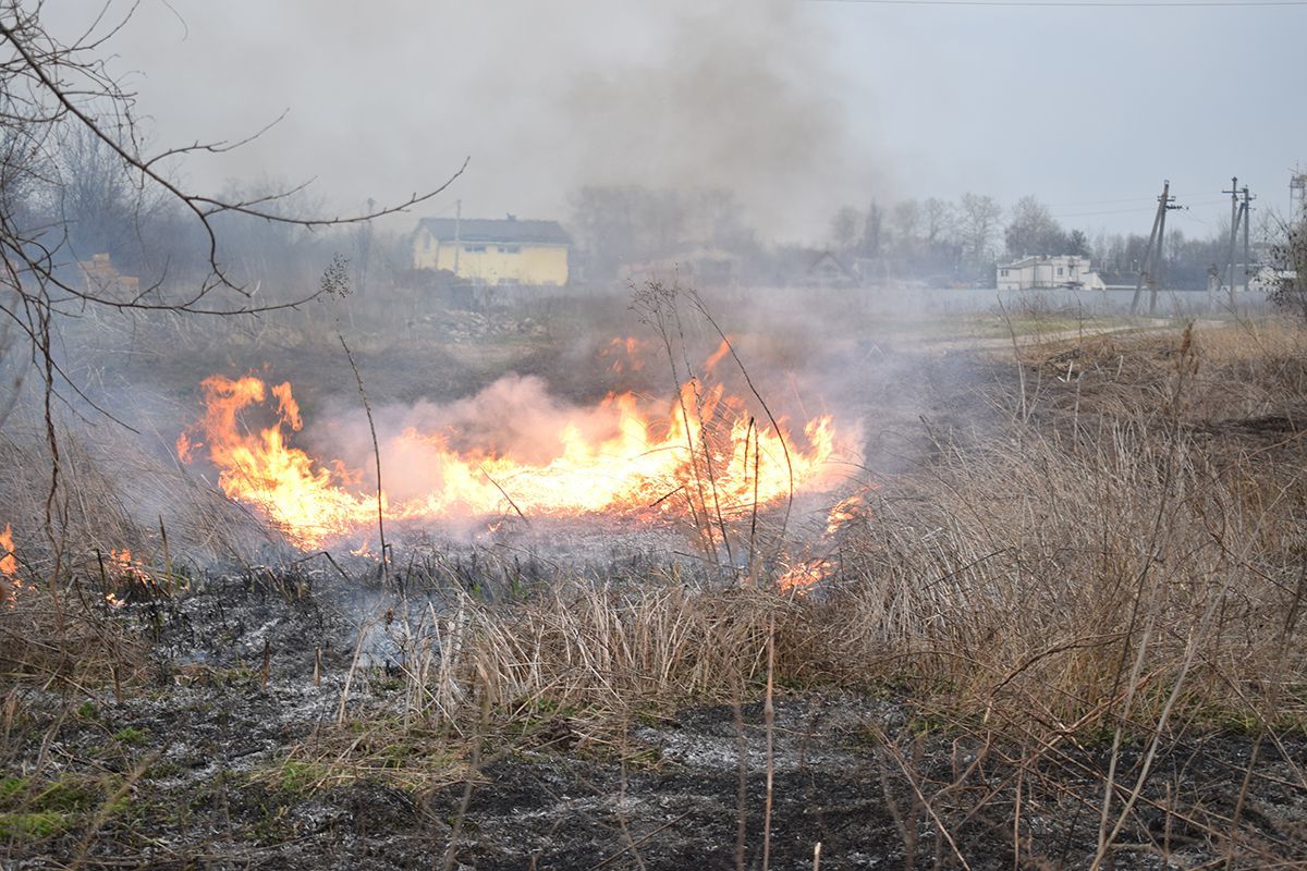 Нацгвардійці палили траву і облаяли чоловіка через зауваження - відео Нацгвардійці палили траву і облаяли чоловіка через зауваження - відео