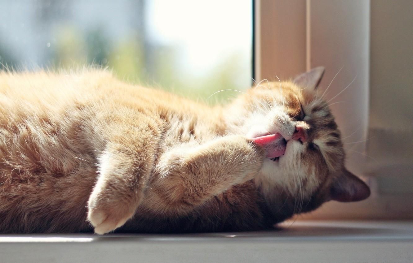 Погода 11 мая 2020 в Украине – какую погоду обещает синоптик Погода 11 мая 2020 в Украине – какую погоду обещает синоптик