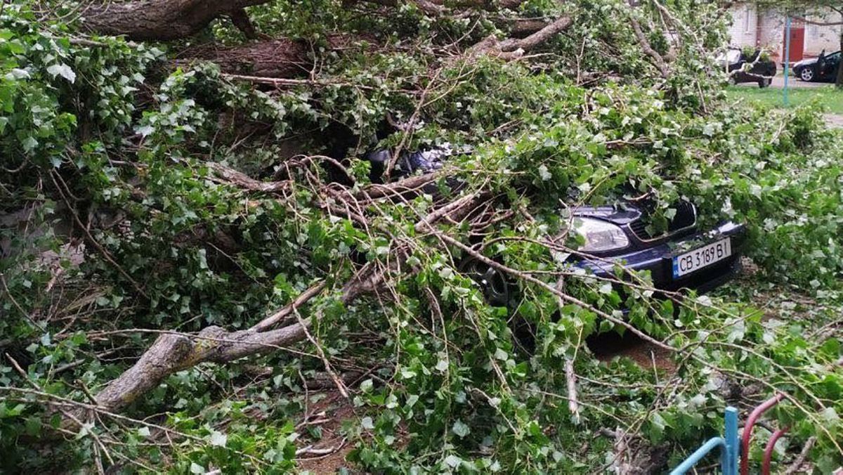 Буревій у Чернігові повиривав дерева з корінням, пошкоджені авто – фото, відео