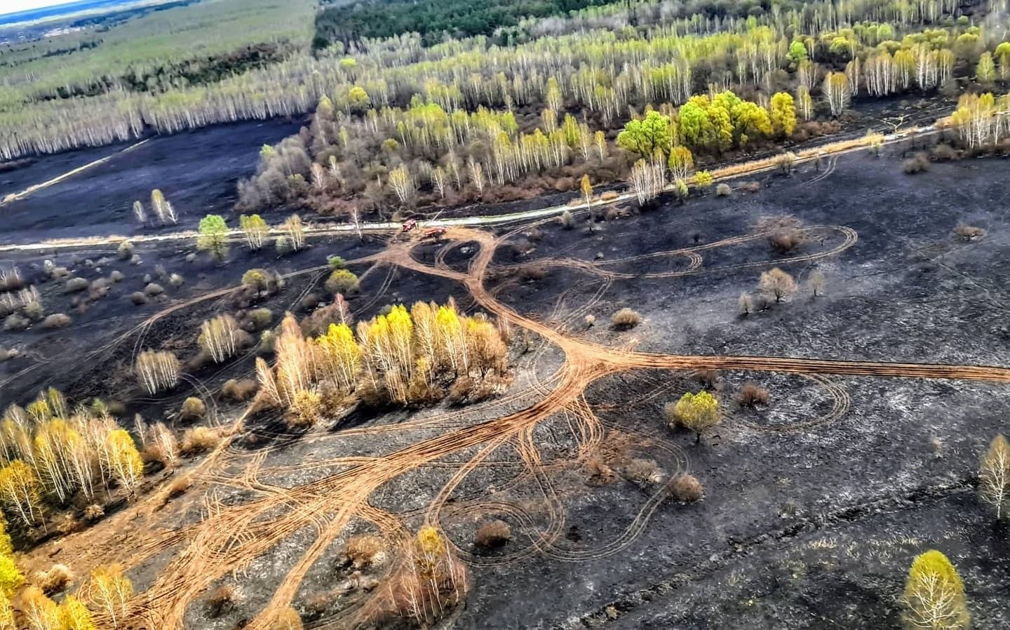 Тема пожеж у Чорнобильській зоні втратила хайп, – Зеленський Тема пожеж у Чорнобильській зоні втратила хайп, – Зеленський