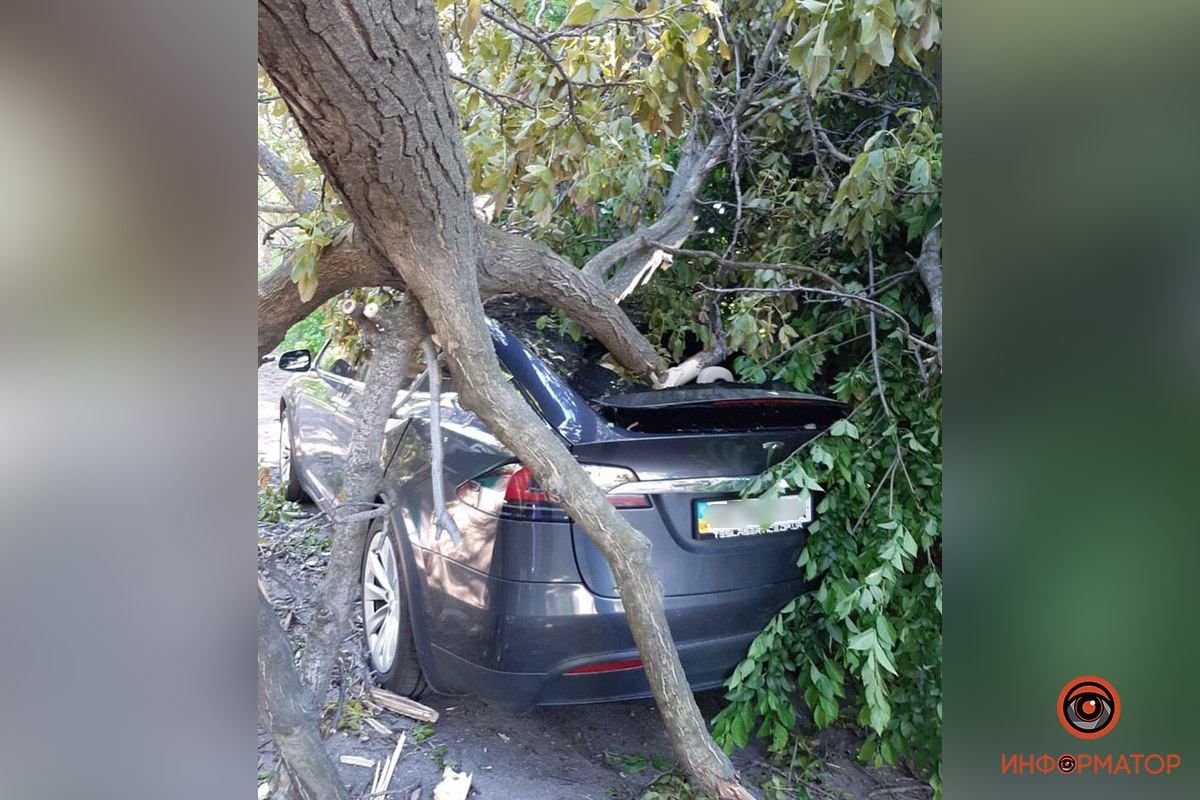 Побитий дах, вікна та фари: дерево розтрощило Tesla у Дніпрі – вражаючі фото