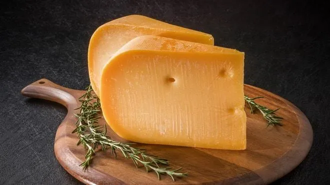 Гауда Гауда