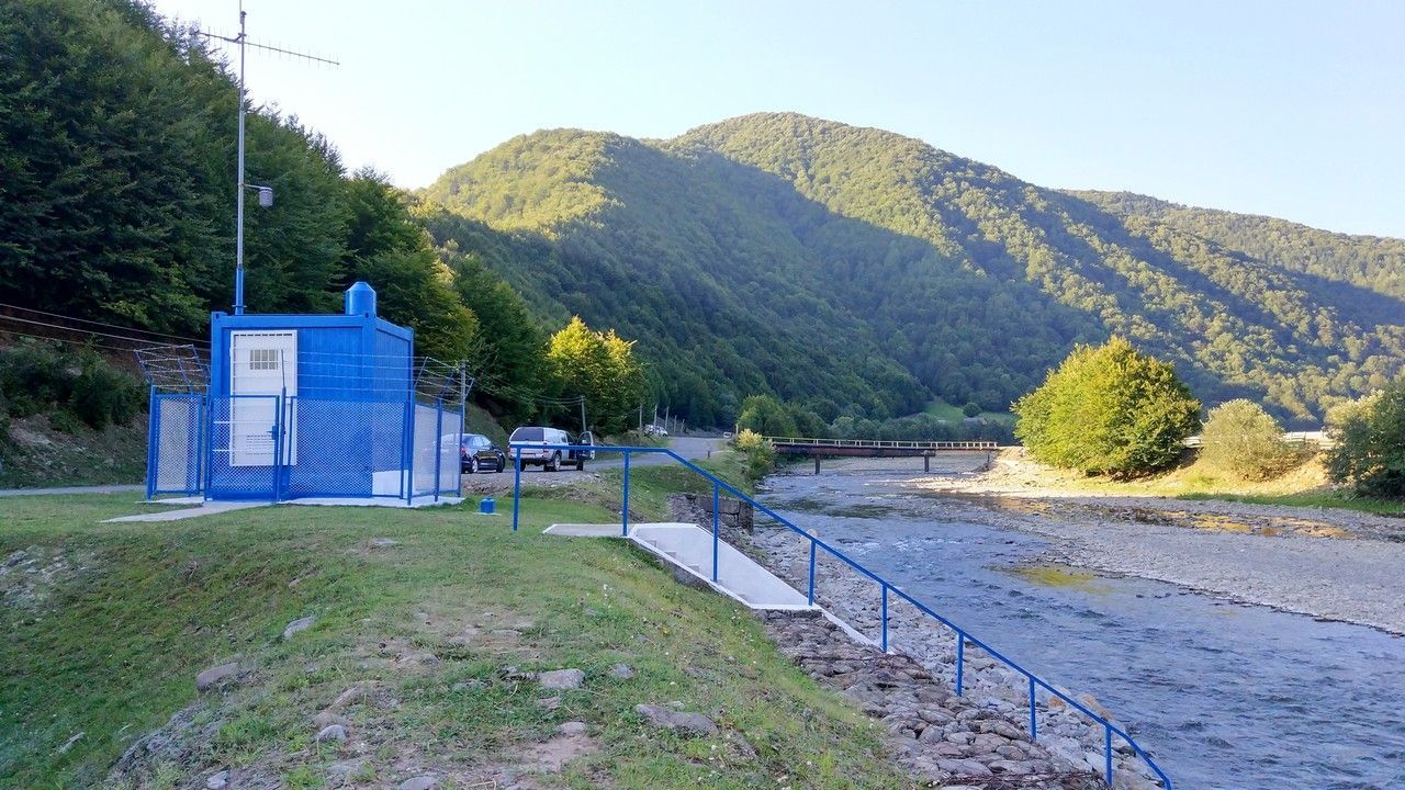 Вимирання риби та забрудненні водойми: Україні потрібно терміново подбати про річки, – WWF