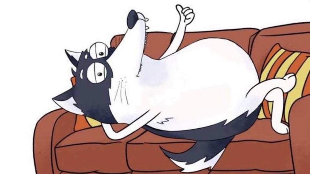 Забрали інстаграм і виписали штраф: Суд в Україні захистив авторські права персонажа "ХаХаскі" Забрали інстаграм і виписали штраф: Суд в Україні захистив авторські права персонажа "ХаХаскі"