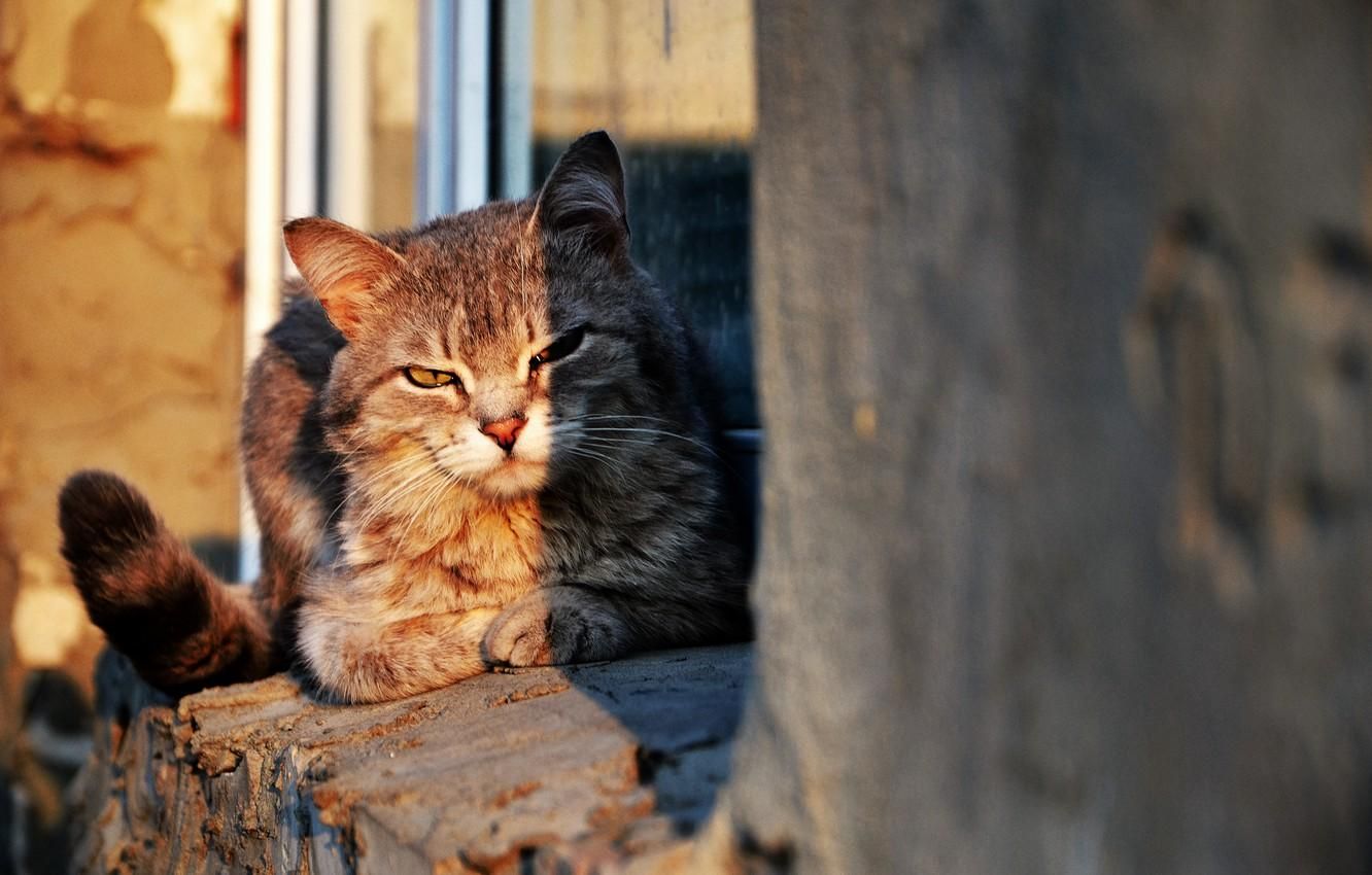 Погода 18 травня 2020 в Україні – яку погоду обіцяє синоптик Погода 18 травня 2020 в Україні – яку погоду обіцяє синоптик