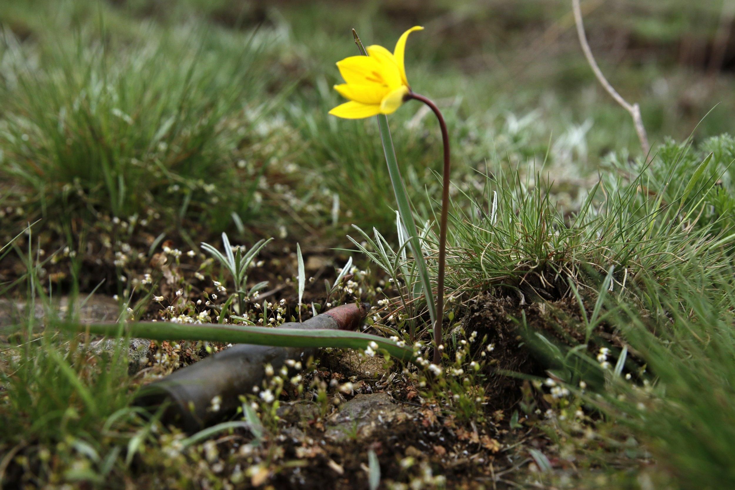 Неспокійна доба на Донбасі: ворог гатив із заборонених мінометів та БМП, є поранені Неспокійна доба на Донбасі: ворог гатив із заборонених мінометів та БМП, є поранені