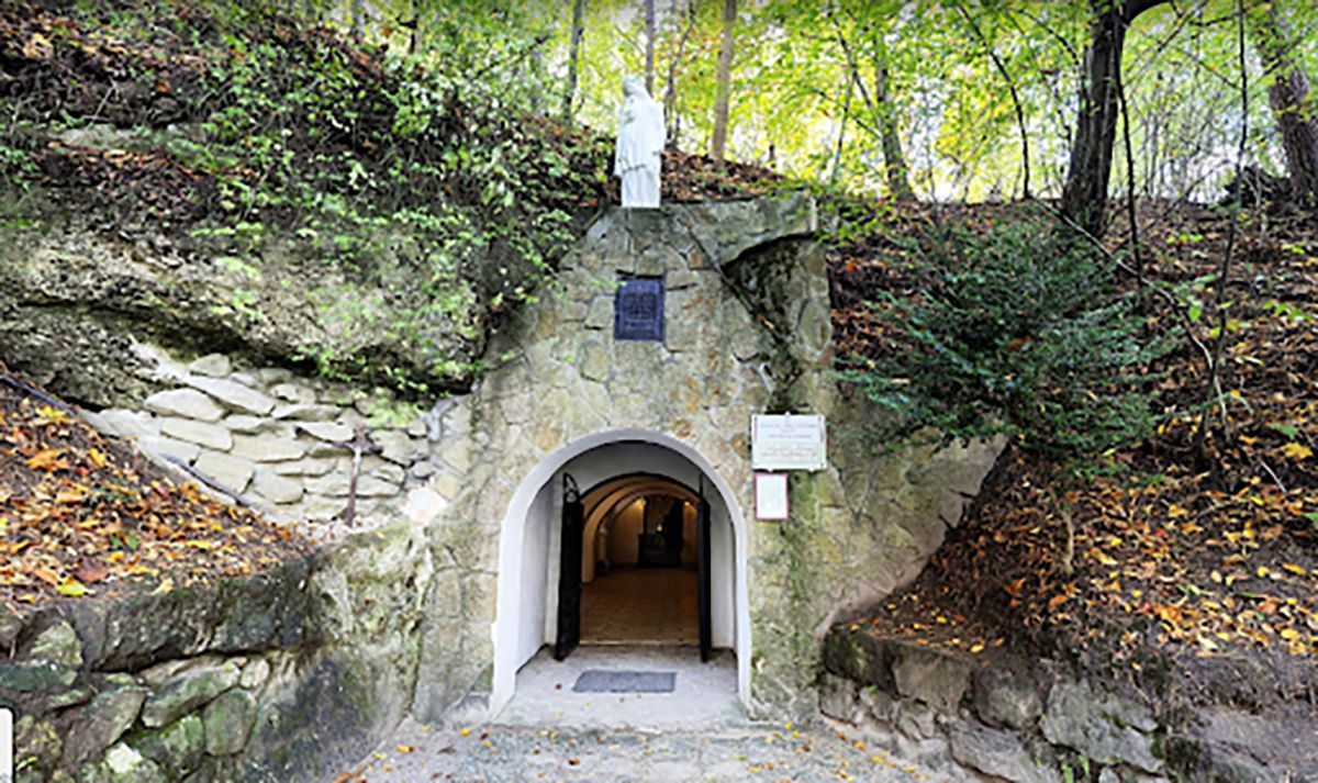 Вирубують ліс: родичі Медведчука незаконно перекрили місце паломництва на Львівщині Вирубують ліс: родичі Медведчука незаконно перекрили місце паломництва на Львівщині