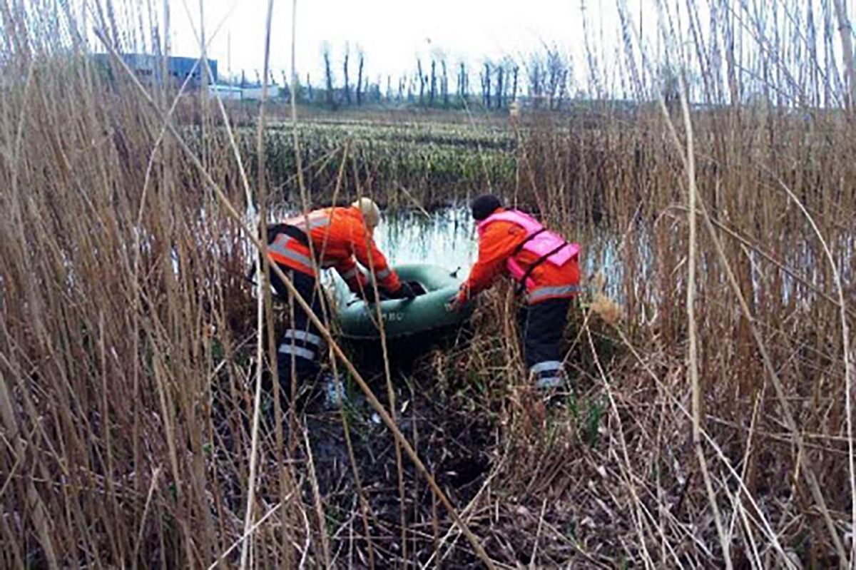 Чоловік та жінка 16 травня потонули в Житомирській області