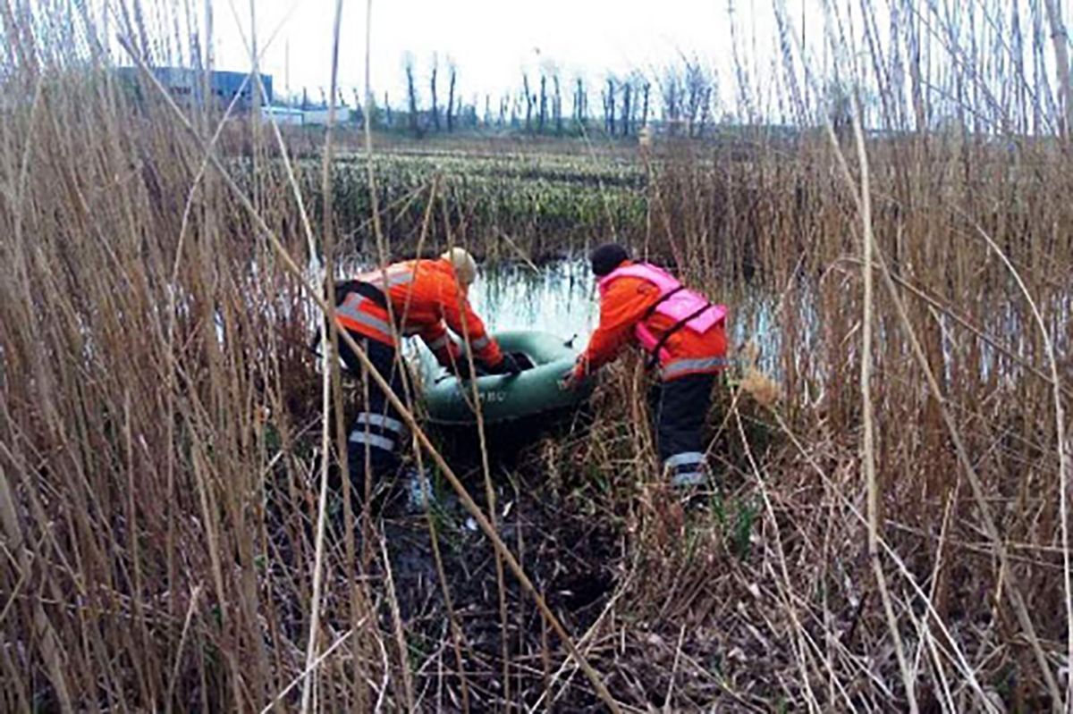 Мужчина и женщина 16 мая утонули в Житомирской области