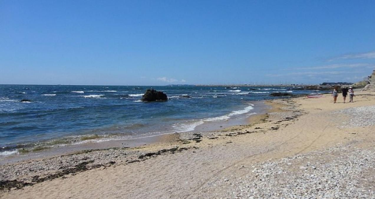  Во Франции открыли пляжи и доступ к водоемам
