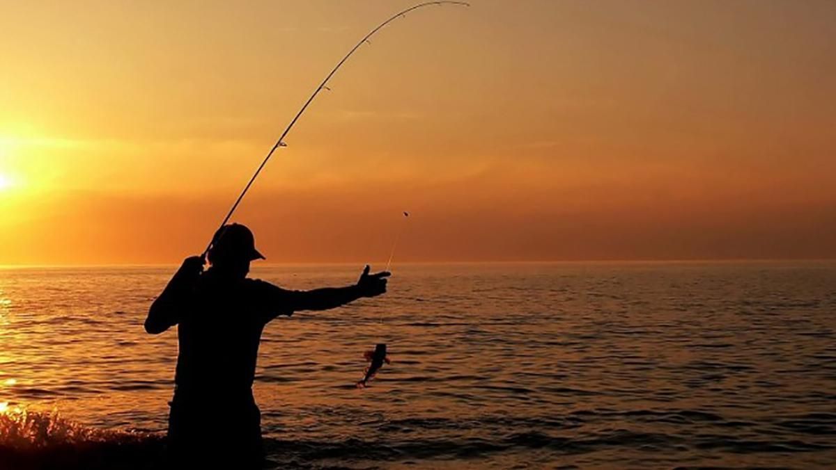 Рыбные браконьеры: как борются с незаконной рыбалкой в период нереста