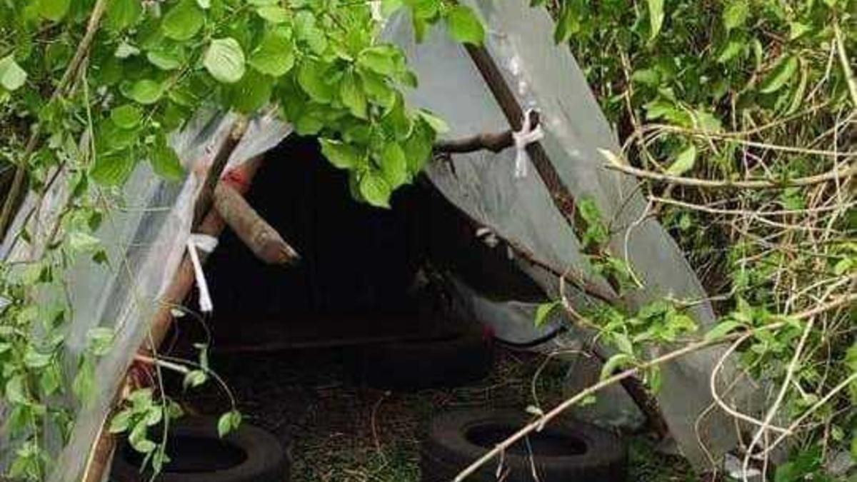 Семья с детьми поселилась в лесу: девочка заболела COVID-19, беременная женщина исчезла Семья с детьми поселилась в лесу: девочка заболела COVID-19, беременная женщина исчезла