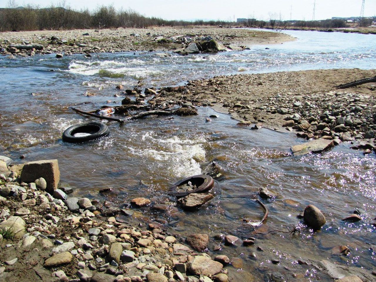 Чи готові українські політики вирішувати екологічні проблеми? Чи готові українські політики вирішувати екологічні проблеми?