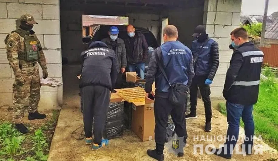 шахраї шахраї