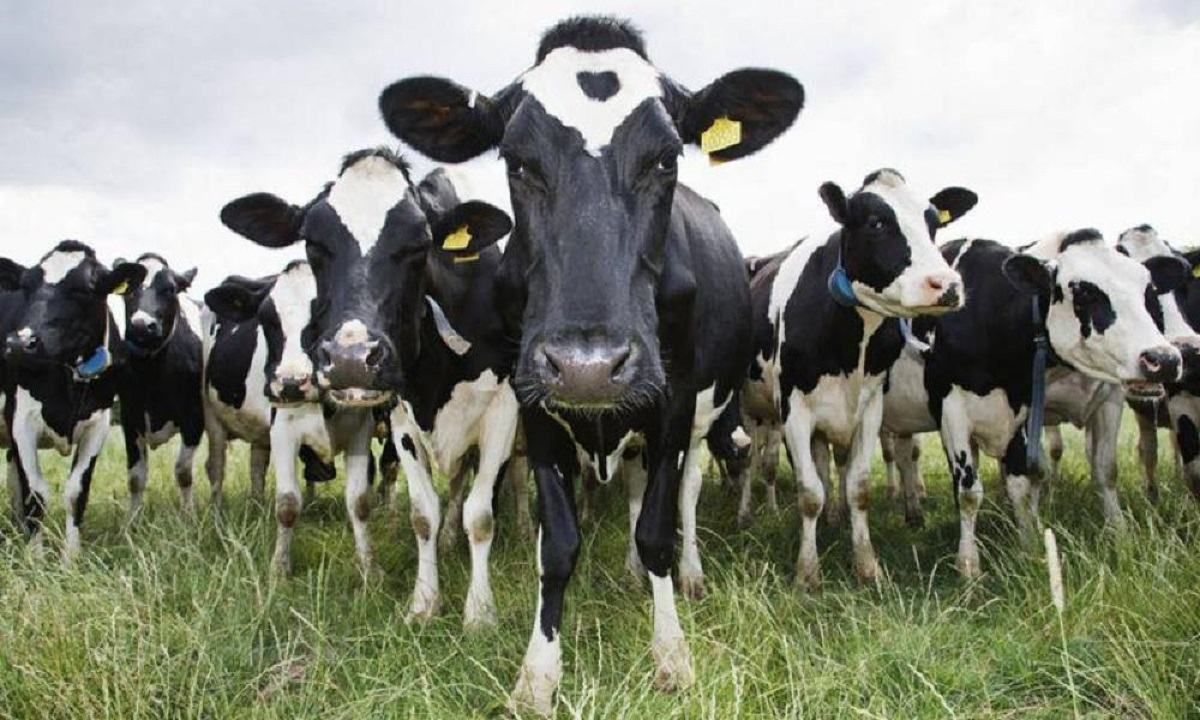 Аграрии получат от государства 1 миллиард гривен: кому и сколько достанется Аграрии получат от государства 1 миллиард гривен: кому и сколько достанется