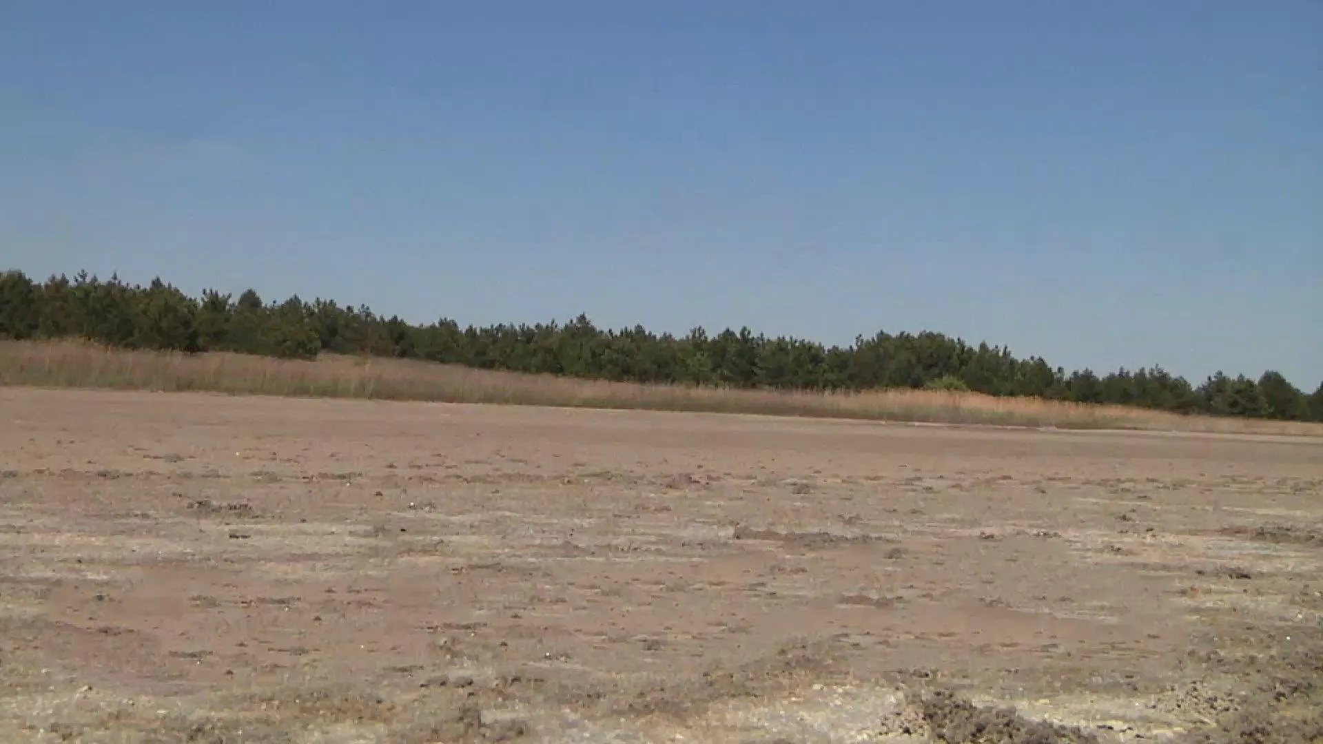 Посуха Посуха