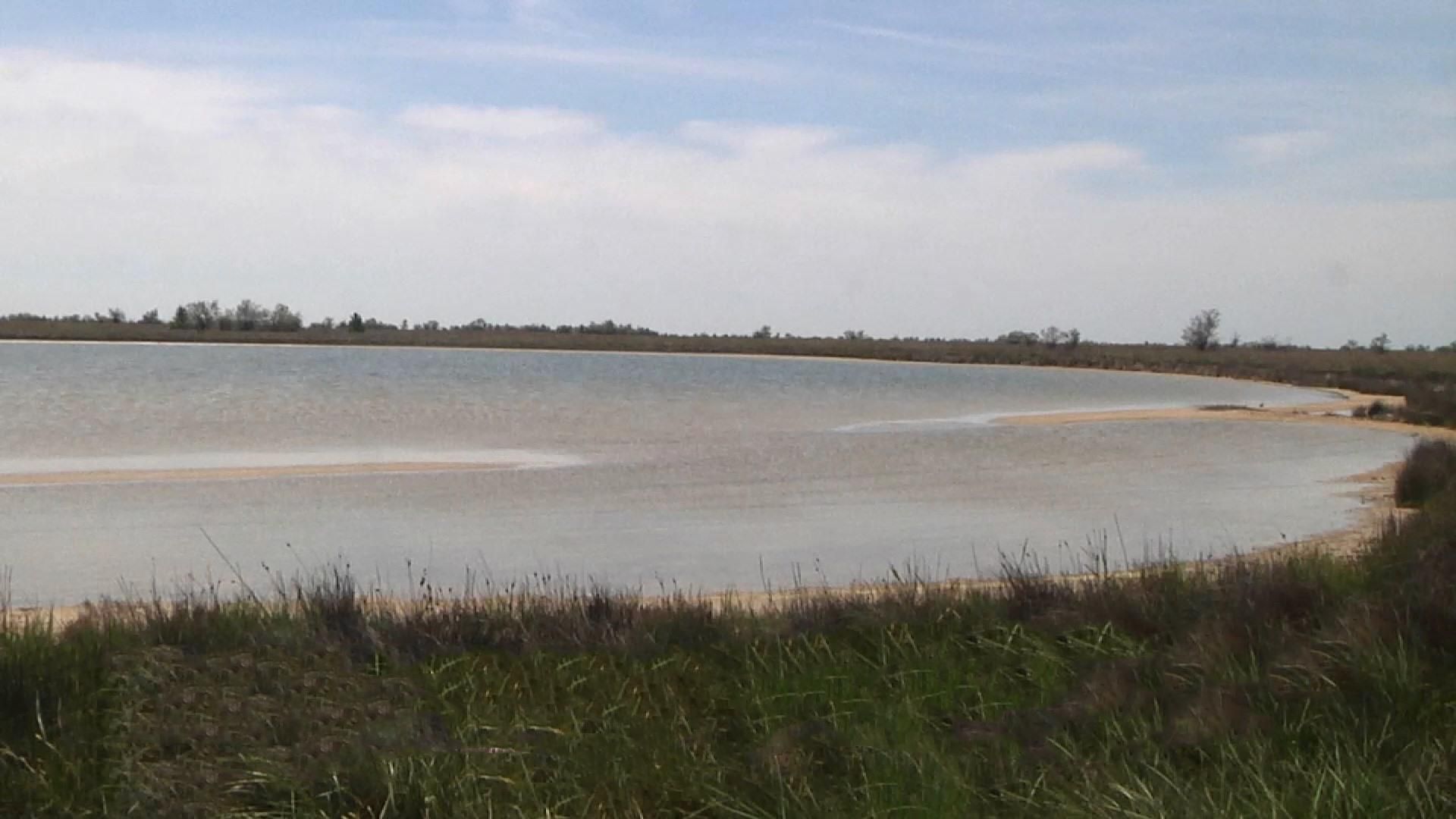 Из-за невиданной засухи под угрозой оказался уникальный природный парк на Николаевщине Из-за невиданной засухи под угрозой оказался уникальный природный парк на Николаевщине