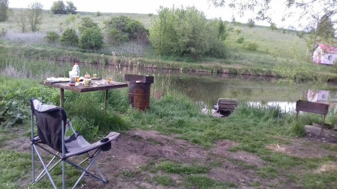 Масове вбивство на Житомирщині: з’явилися перші фото з місця жорстокого розстрілу