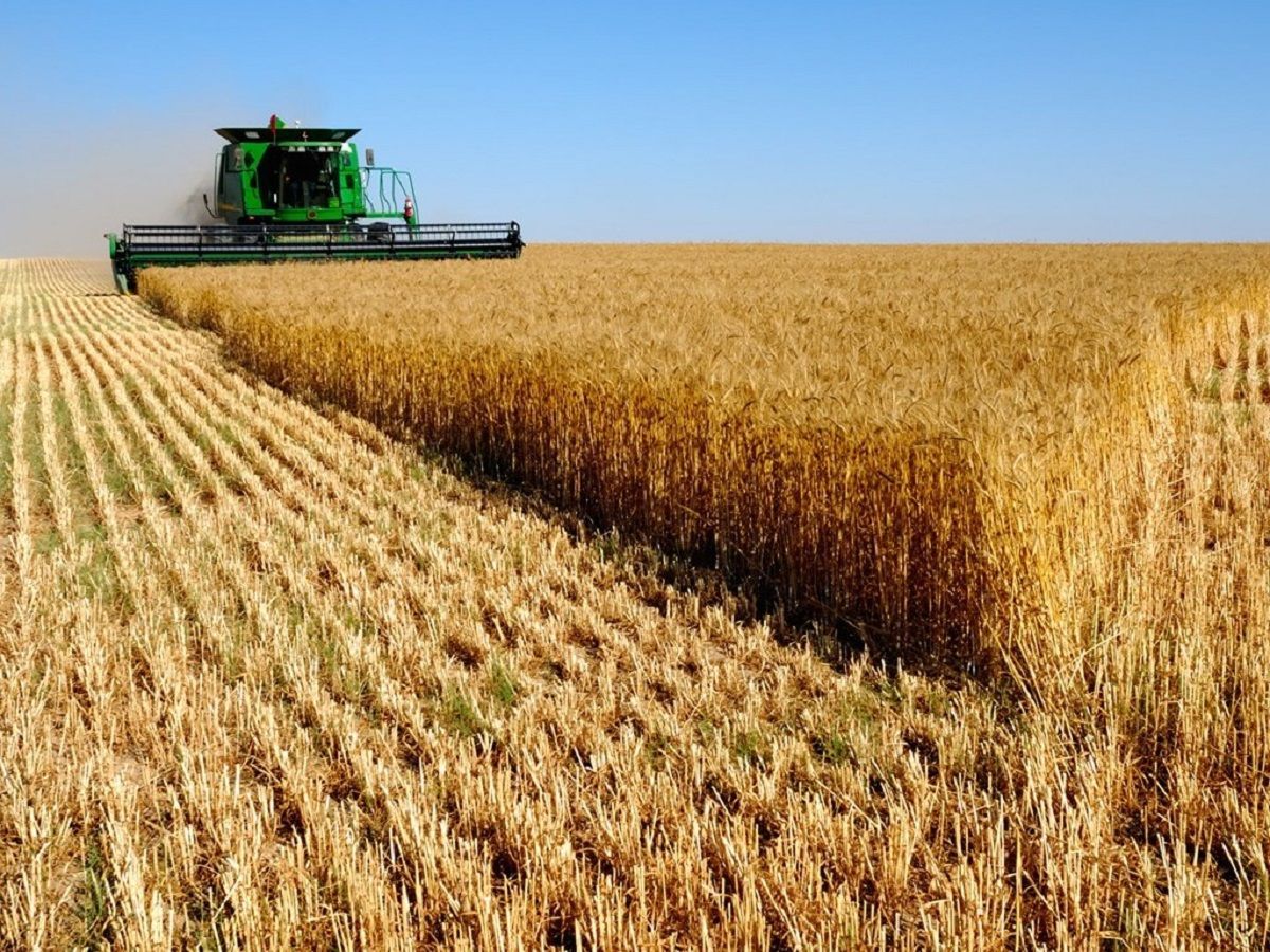 Україна буде з хлібом Україна буде з хлібом