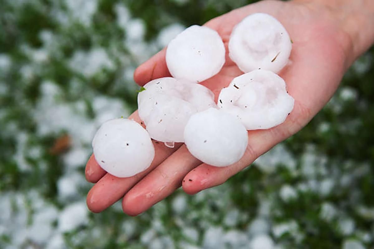 Град в Донецкой области выпал 24 мая 2020 - фото Град в Донецкой области выпал 24 мая 2020 - фото