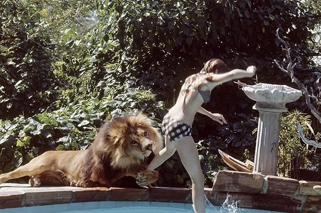 Мелані Гріффіт в особняку з левом Мелані Гріффіт в особняку з левом