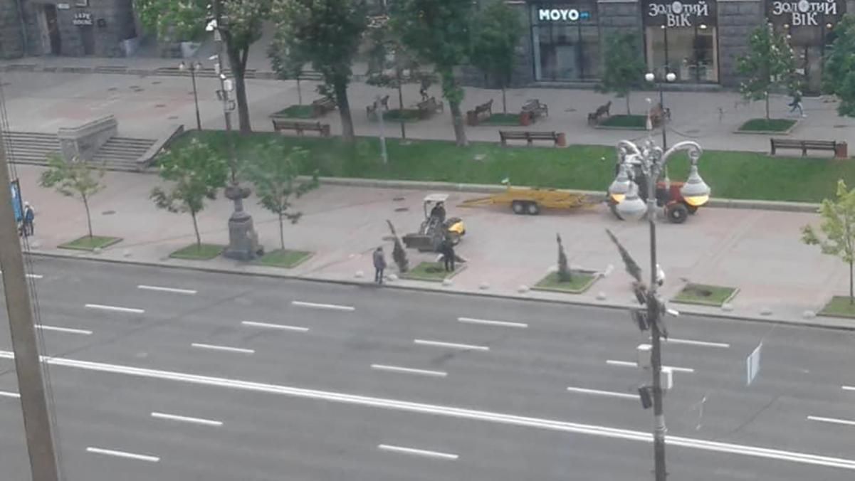 З Хрещатика в Києві зникли каштани та висадили тут ялівець: пояснення Кличка З Хрещатика в Києві зникли каштани та висадили тут ялівець: пояснення Кличка