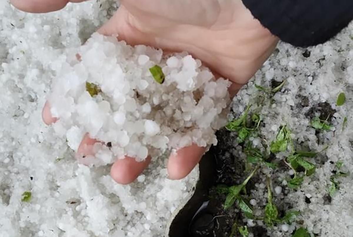 Град на Закарпатье 25 мая 2020: фото града Град на Закарпатье 25 мая 2020: фото града