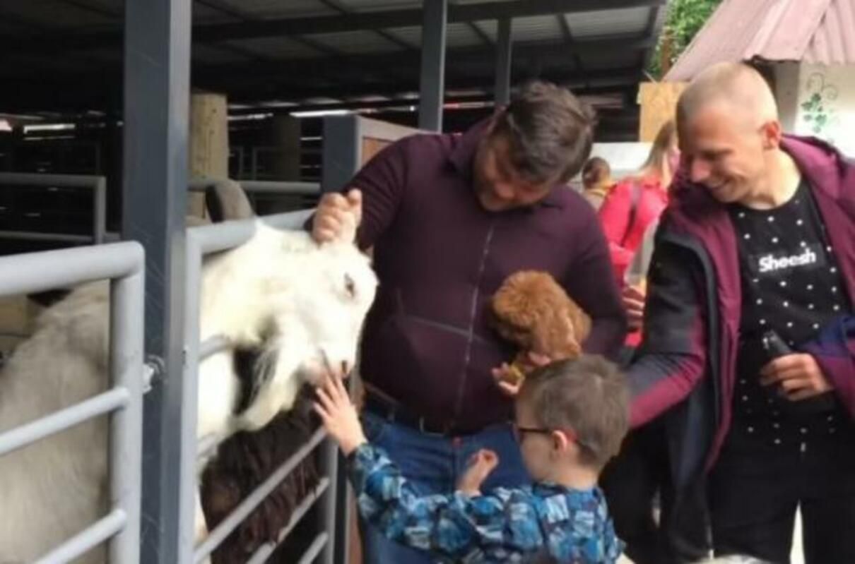 Проти Богдана можуть почати провадження за випадок у зоопарку Проти Богдана можуть почати провадження за випадок у зоопарку