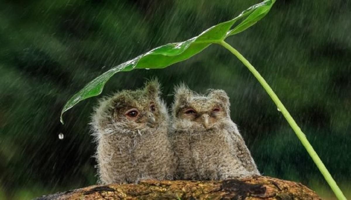 Погода 27 травня 2020 в Україні: що обіцяють синоптики Погода 27 травня 2020 в Україні: що обіцяють синоптики