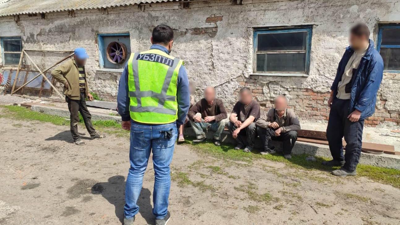 На Харьковщине разоблачили фермеров, которые держали рабов: ужасные фото и видео На Харьковщине разоблачили фермеров, которые держали рабов: ужасные фото и видео